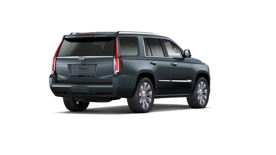 2019 Cadillac Escalade Vehicle Photo in Davie, FL 33331