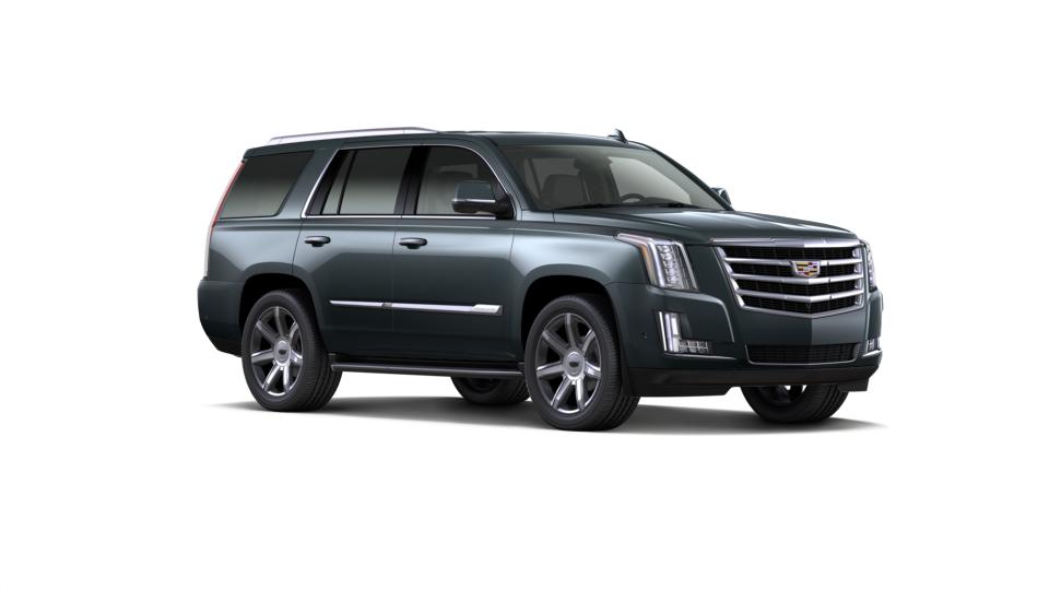 2019 Cadillac Escalade Vehicle Photo in TAMPA, FL 33612-3404