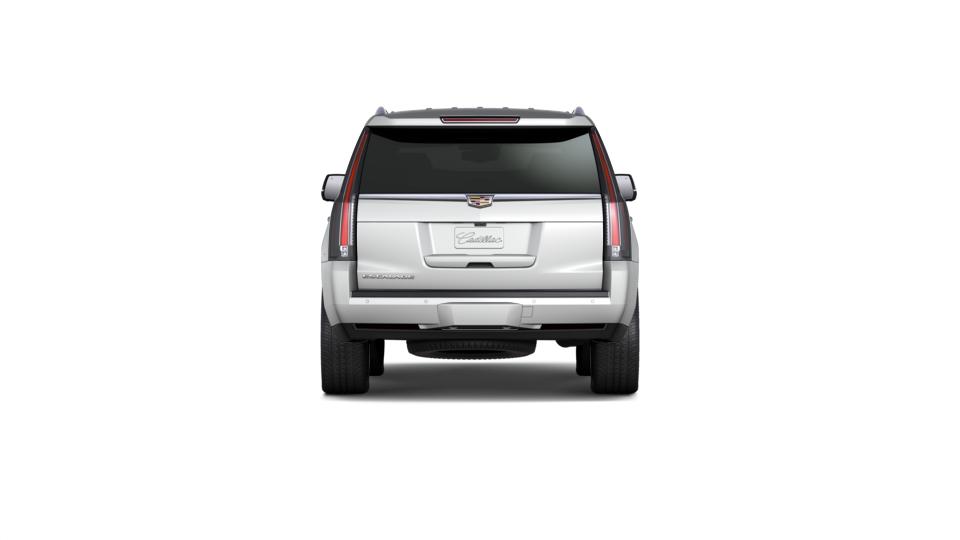2019 Cadillac Escalade Vehicle Photo in DELRAY BEACH, FL 33483-3294