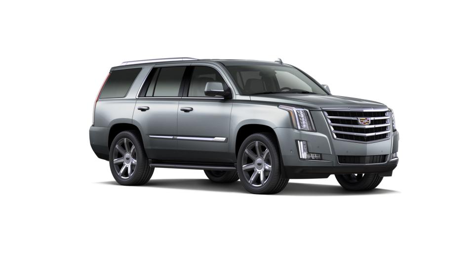 2019 Cadillac Escalade Vehicle Photo in NORWOOD, MA 02062-5222