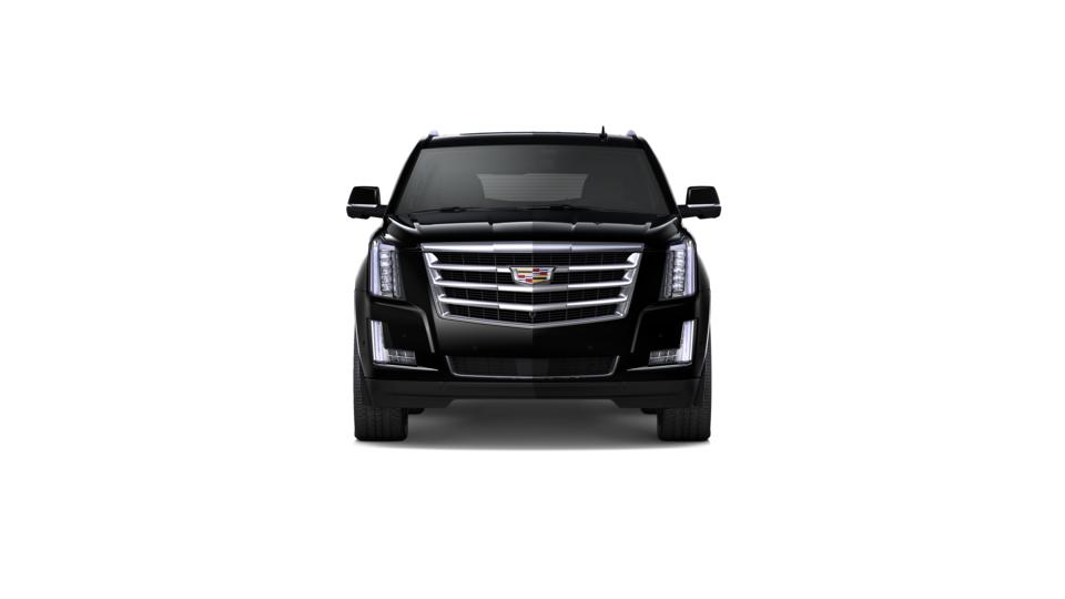 2019 Cadillac Escalade Vehicle Photo in SUGAR LAND, TX 77478-0000