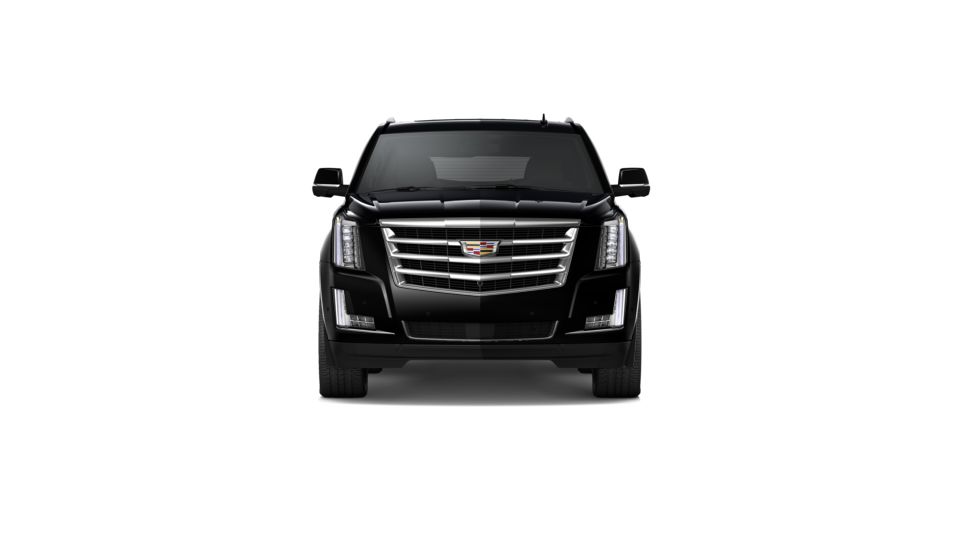 2020 Cadillac Escalade Vehicle Photo in SMYRNA, GA 30080-7631