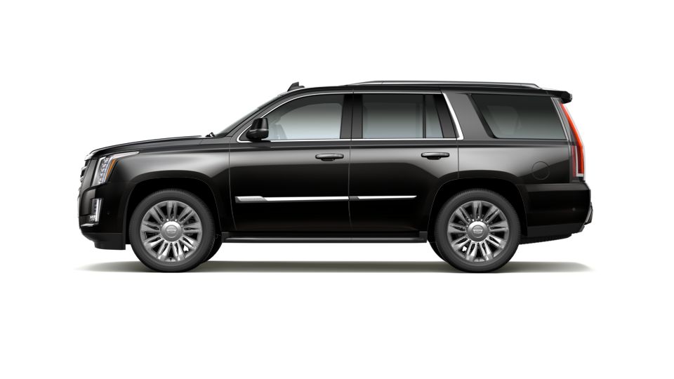 2020 Cadillac Escalade Vehicle Photo in SMYRNA, GA 30080-7631