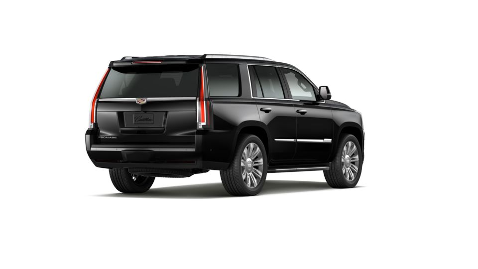 2020 Cadillac Escalade Vehicle Photo in SMYRNA, GA 30080-7631