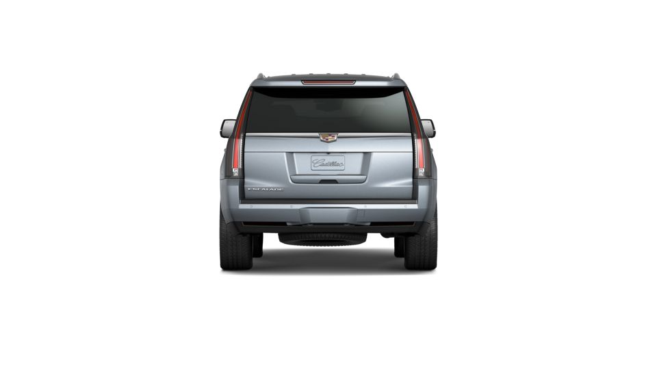 2020 Cadillac Escalade Vehicle Photo in SELMA, TX 78154-1460