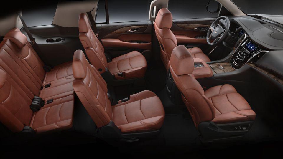 2020 Cadillac Escalade Vehicle Photo in HOUSTON, TX 77079