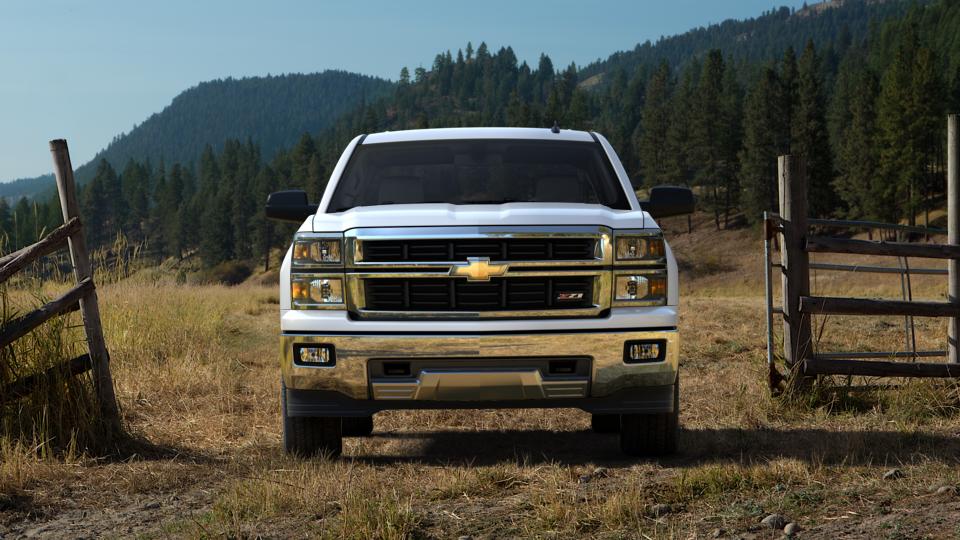 2014 Chevrolet Silverado 1500 Vehicle Photo in COLUMBIA, TN 38401-2432