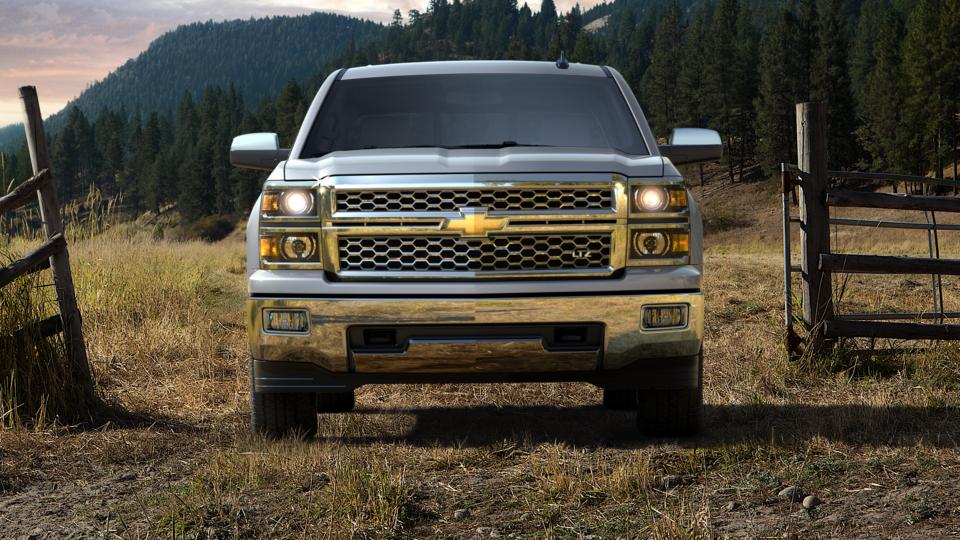 2015 Chevrolet Silverado 1500 Vehicle Photo in POOLER, GA 31322-3252