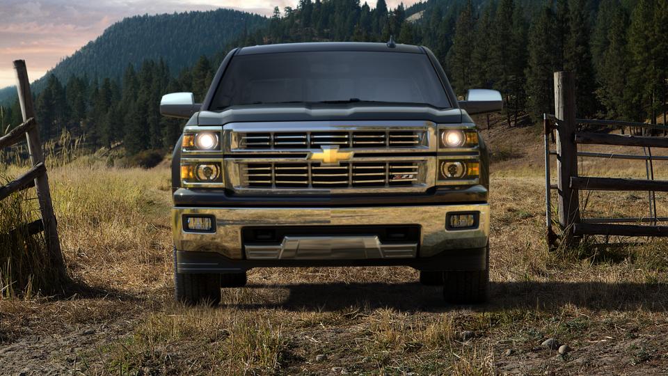 2015 Chevrolet Silverado 1500 Vehicle Photo in SPOKANE, WA 99202-2191