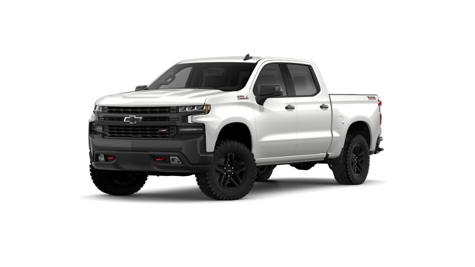 2019 Chevrolet Silverado 1500 Vehicle Photo in CORPUS CHRISTI, TX 78416-1100