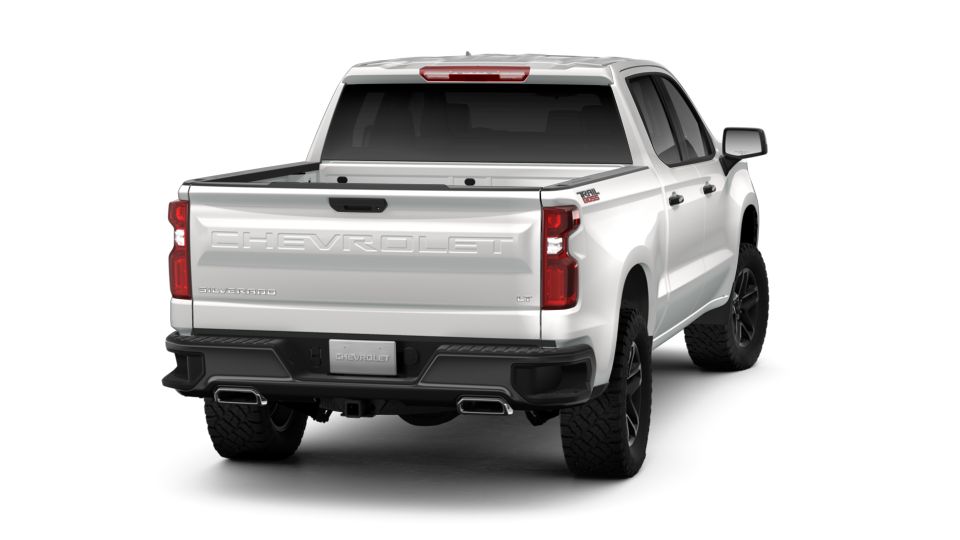 2019 Chevrolet Silverado 1500 Vehicle Photo in CORPUS CHRISTI, TX 78416-1100