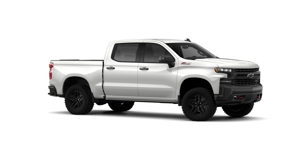 2019 Chevrolet Silverado 1500 Vehicle Photo in CORPUS CHRISTI, TX 78416-1100