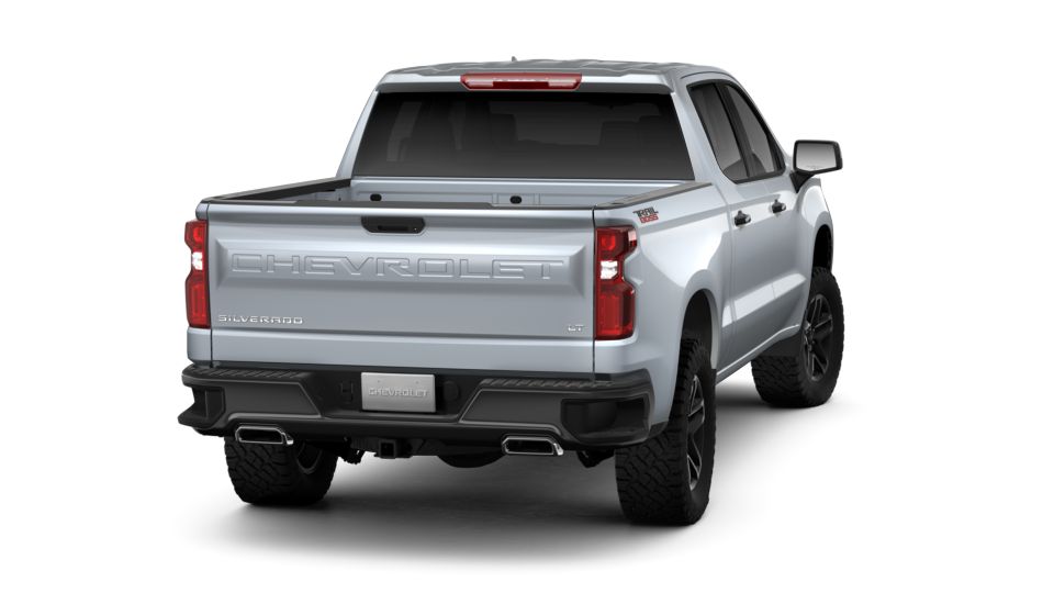 2019 Chevrolet Silverado 1500 Vehicle Photo in KANSAS CITY, MO 64114-4502