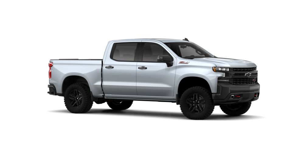 2019 Chevrolet Silverado 1500 Vehicle Photo in KANSAS CITY, MO 64114-4502