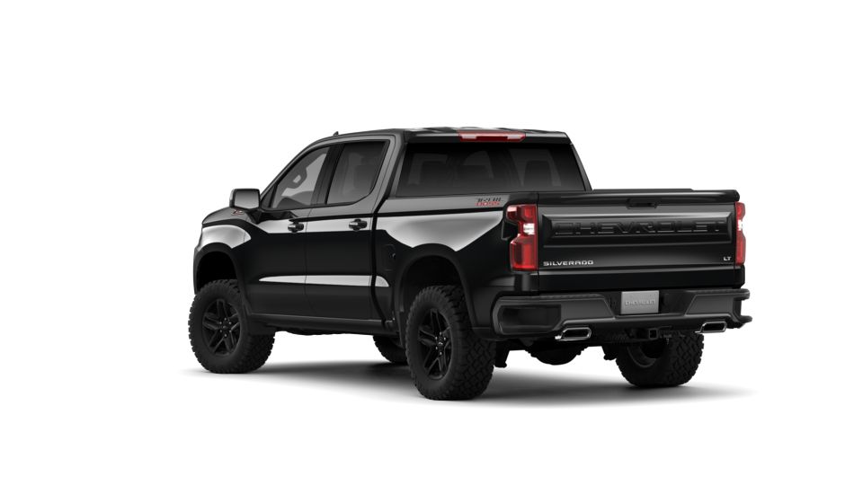 2019 Chevrolet Silverado 1500 Vehicle Photo in ALCOA, TN 37701-3235