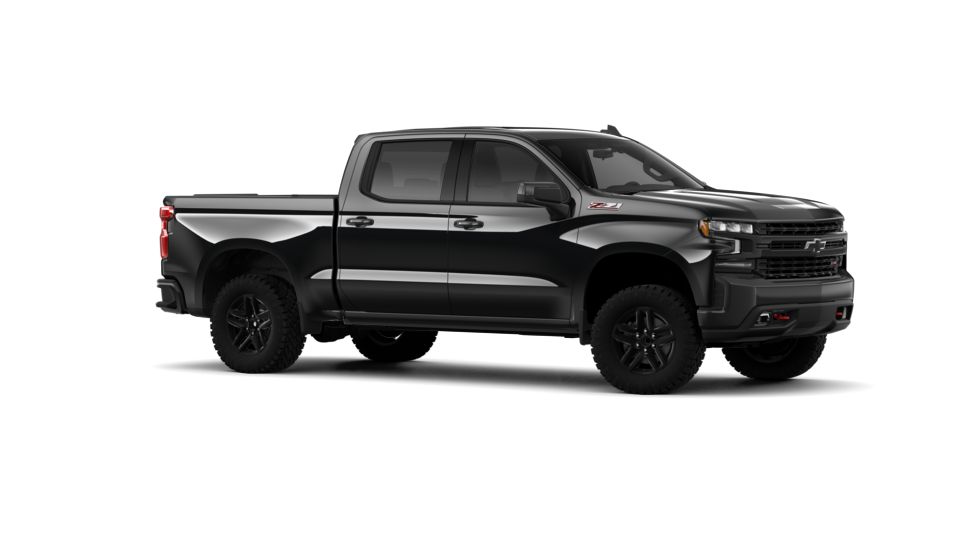 2019 Chevrolet Silverado 1500 Vehicle Photo in ALCOA, TN 37701-3235