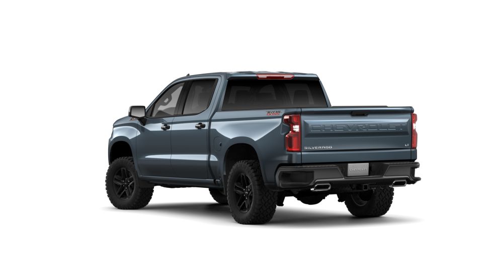 2019 Chevrolet Silverado 1500 Vehicle Photo in GILBERT, AZ 85297-0446