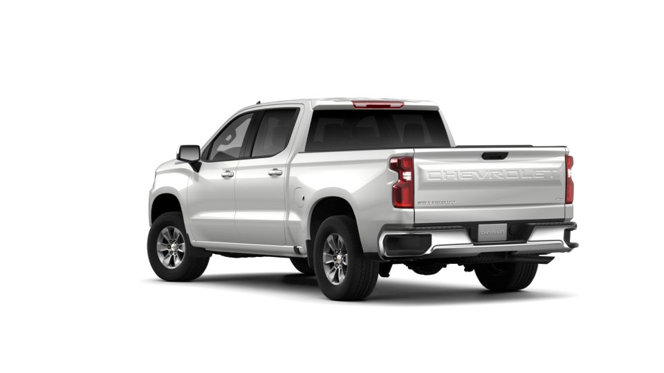 2019 Chevrolet Silverado 1500 Vehicle Photo in AMARILLO, TX 79106-1809