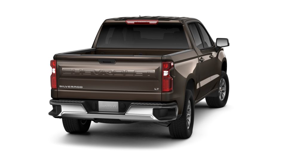 2019 Chevrolet Silverado 1500 Vehicle Photo in PEMBROKE PINES, FL 33024-6534