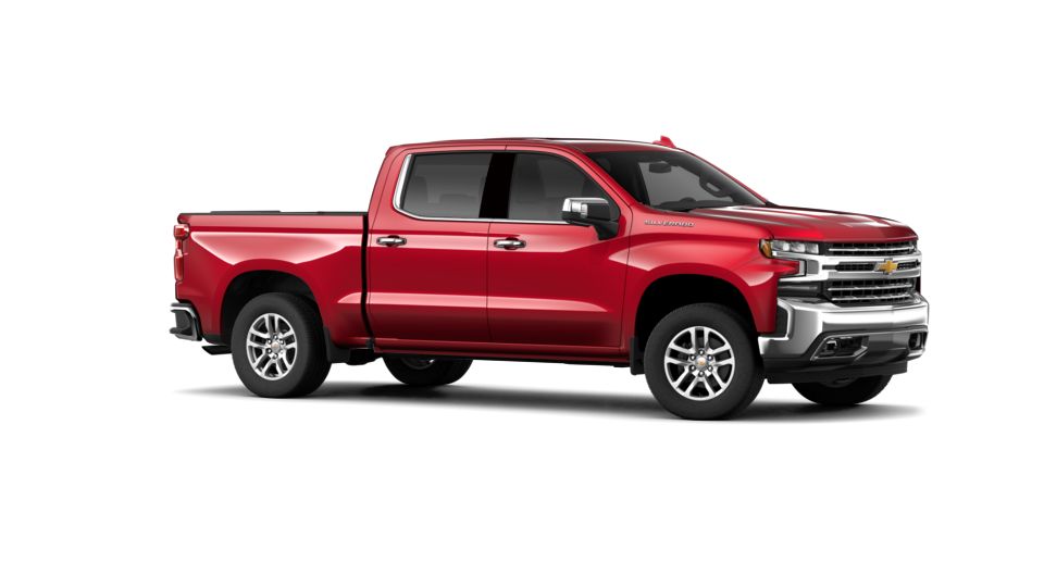 2019 Chevrolet Silverado 1500 Vehicle Photo in St. Petersburg, FL 33713