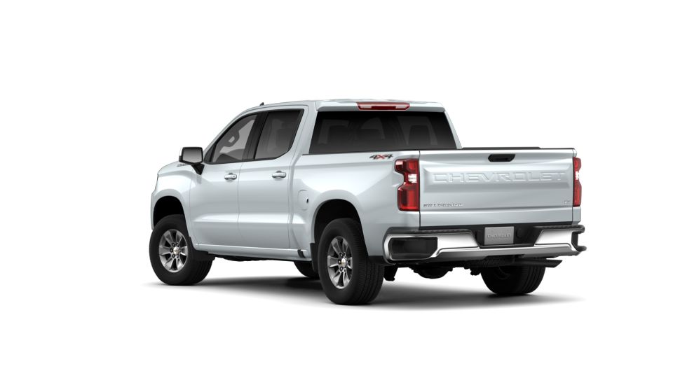 2019 Chevrolet Silverado 1500 Vehicle Photo in SELMA, TX 78154-1460