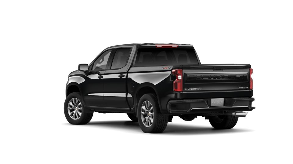 2019 Chevrolet Silverado 1500 Vehicle Photo in DETROIT, MI 48207-4102