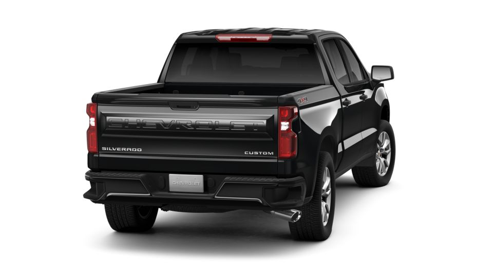 2019 Chevrolet Silverado 1500 Vehicle Photo in DETROIT, MI 48207-4102