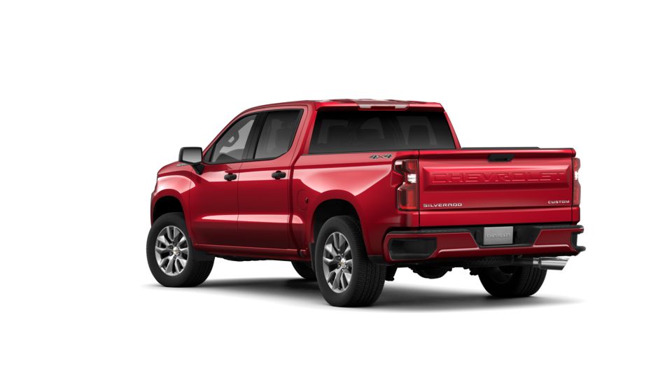 2019 Chevrolet Silverado 1500 Vehicle Photo in MOON TOWNSHIP, PA 15108-2571