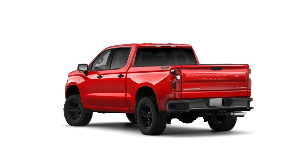 2019 Chevrolet Silverado 1500 Vehicle Photo in Kansas City, MO 64114