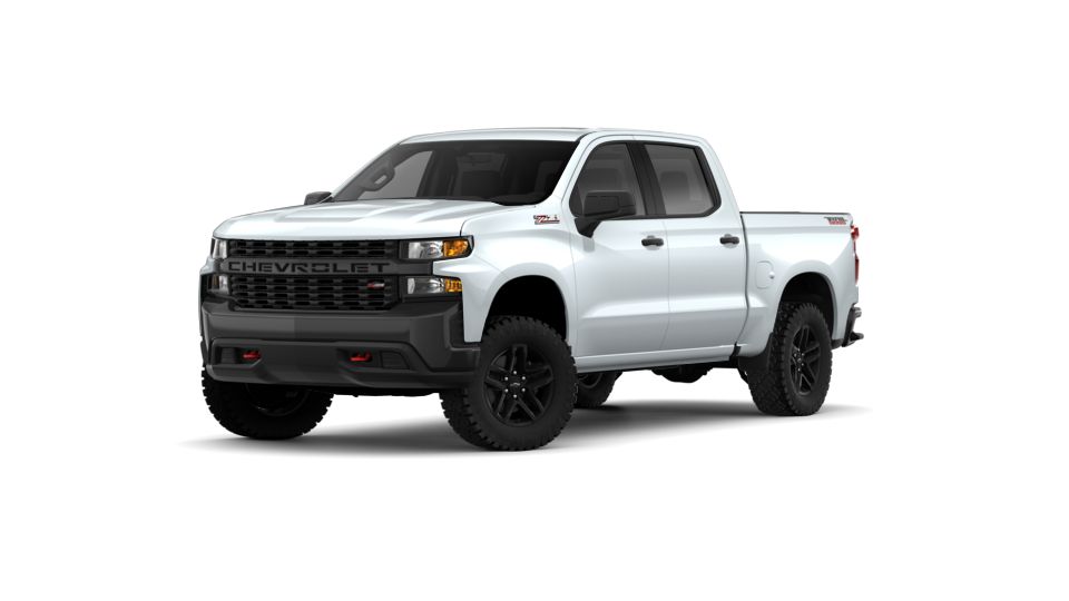 2019 Chevrolet Silverado 1500 Vehicle Photo in ALLIANCE, OH 44601-4622