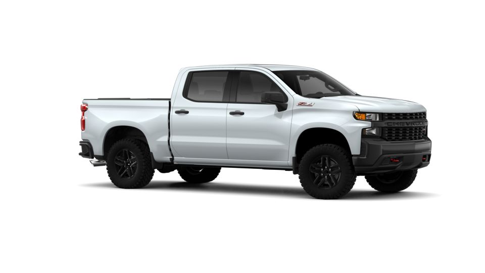 2019 Chevrolet Silverado 1500 Vehicle Photo in ALLIANCE, OH 44601-4622