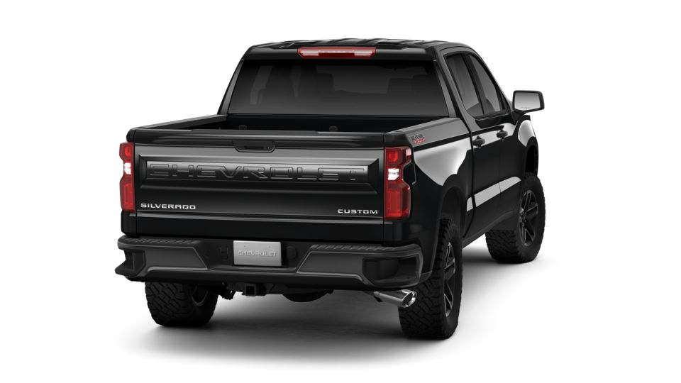 2019 Chevrolet Silverado 1500 Vehicle Photo in NEDERLAND, TX 77627-8017