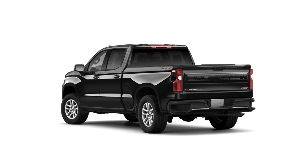 2019 Chevrolet Silverado 1500 Vehicle Photo in HOMOSASSA, FL 34448-1461