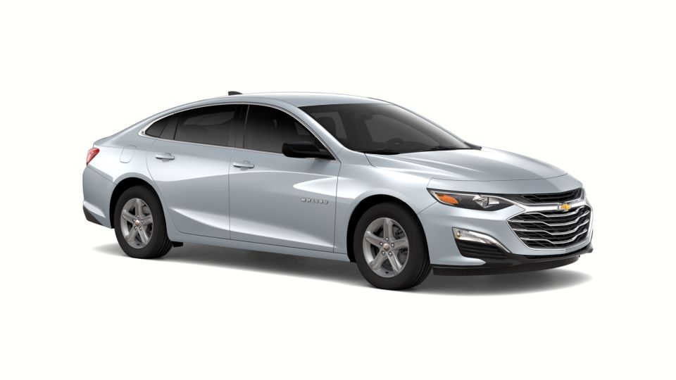 2019 Chevrolet Malibu Vehicle Photo in CLEARWATER, FL 33764-7163