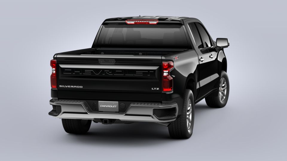 2020 Chevrolet Silverado 1500 Vehicle Photo in Panama City, FL 32401