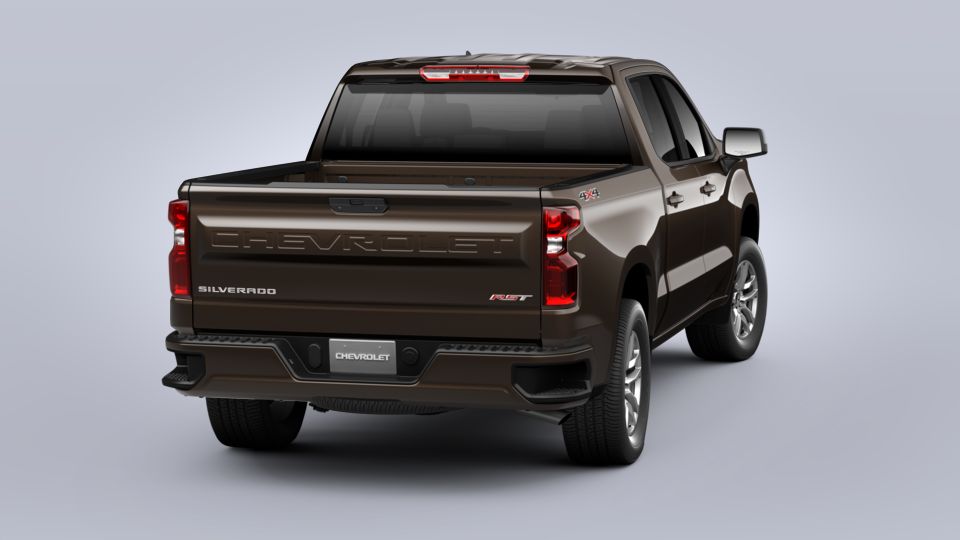 2020 Chevrolet Silverado 1500 Vehicle Photo in Jacksonville, FL 32256