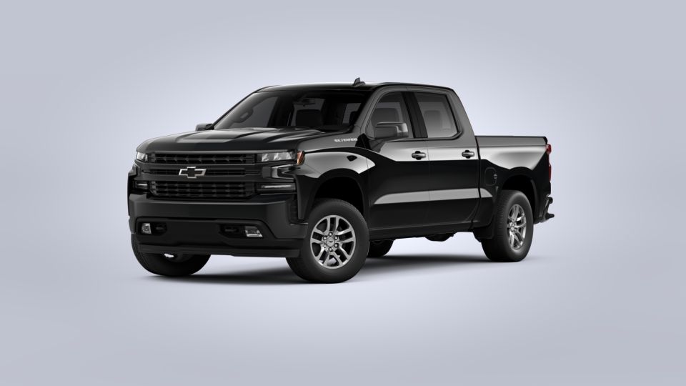 2020 Chevrolet Silverado 1500 Vehicle Photo in SELMA, TX 78154-1460