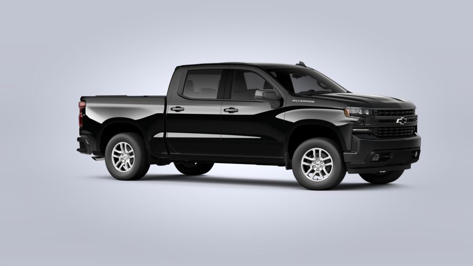 2020 Chevrolet Silverado 1500 Vehicle Photo in SELMA, TX 78154-1460