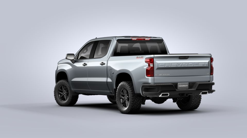 2020 Chevrolet Silverado 1500 Vehicle Photo in SELMA, TX 78154-1459