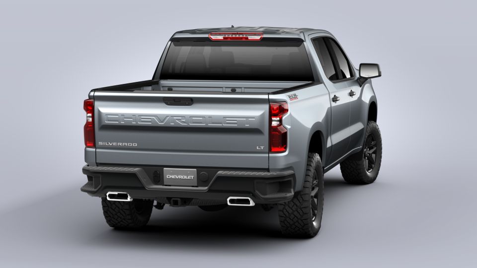 2020 Chevrolet Silverado 1500 Vehicle Photo in SELMA, TX 78154-1459