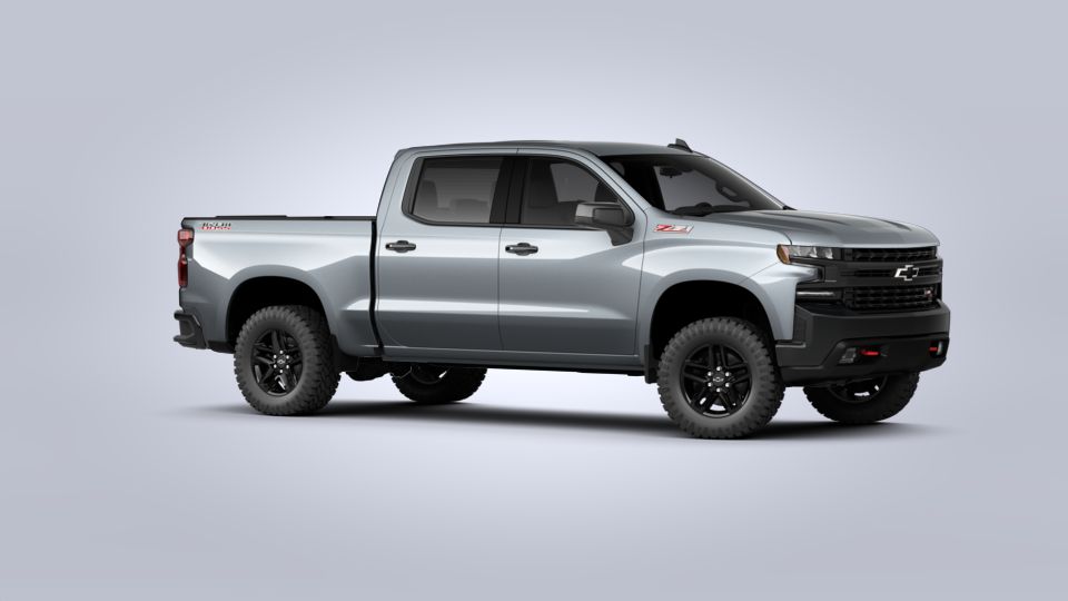 2020 Chevrolet Silverado 1500 Vehicle Photo in SELMA, TX 78154-1459