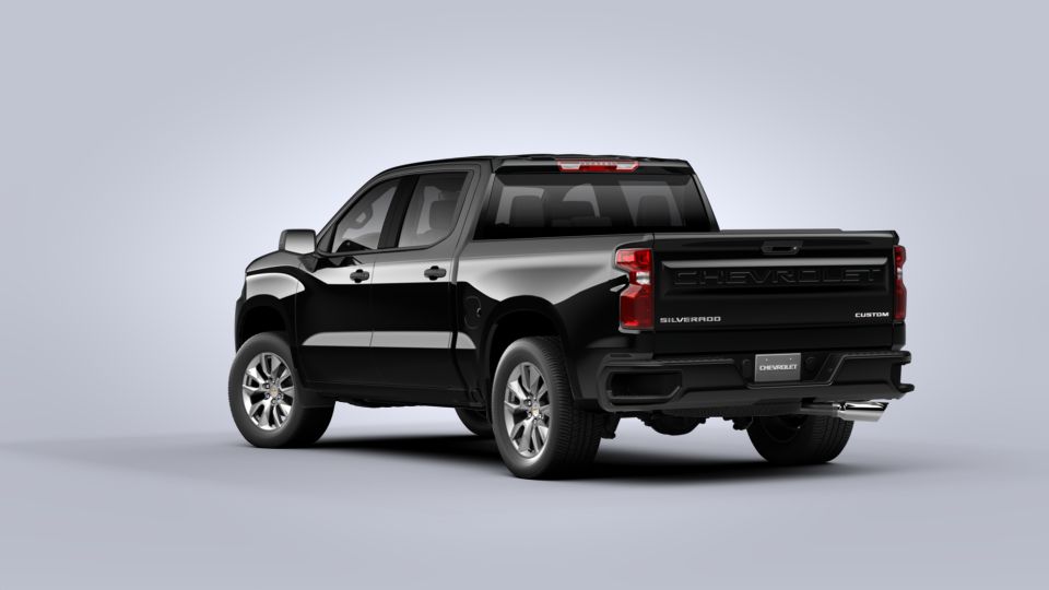 2020 Chevrolet Silverado 1500 Vehicle Photo in HOUSTON, TX 77054-4802