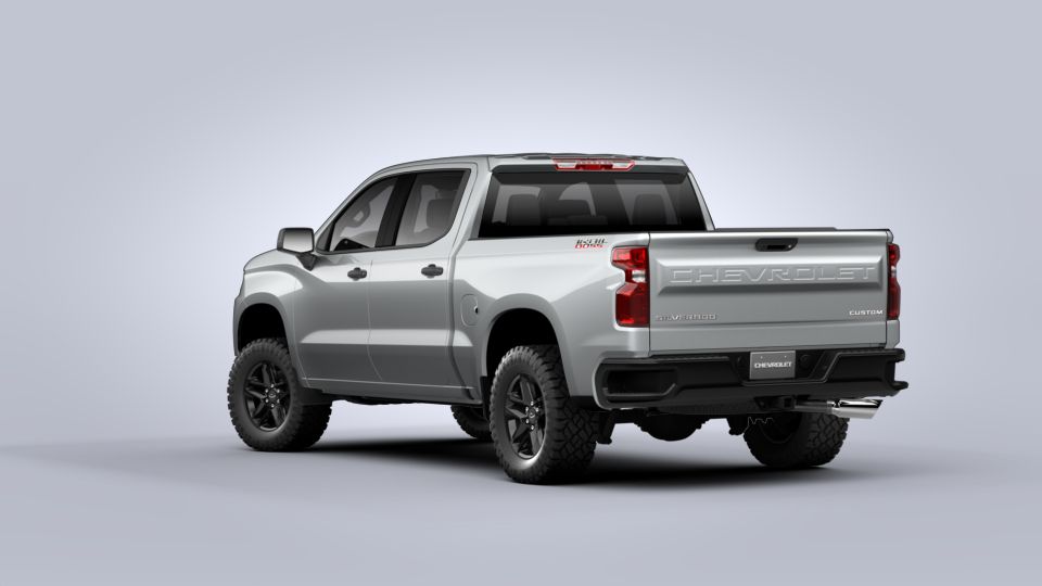 2020 Chevrolet Silverado 1500 Vehicle Photo in ELGIN, TX 78621-4245