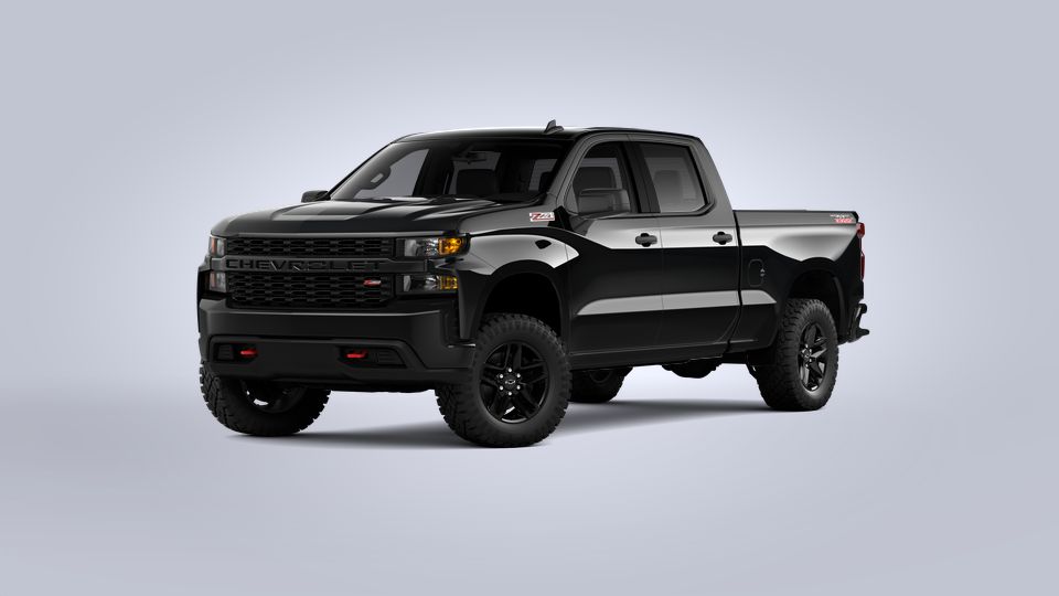 2021 Chevrolet Silverado 1500 Vehicle Photo in AKRON, OH 44320-4088