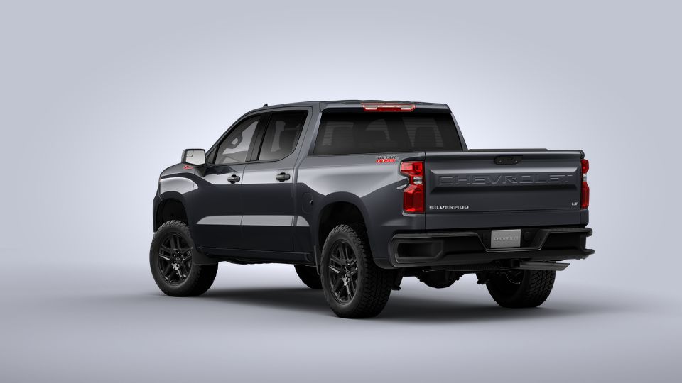 2022 Chevrolet Silverado 1500 Vehicle Photo in LOS ANGELES, CA 90007-3794