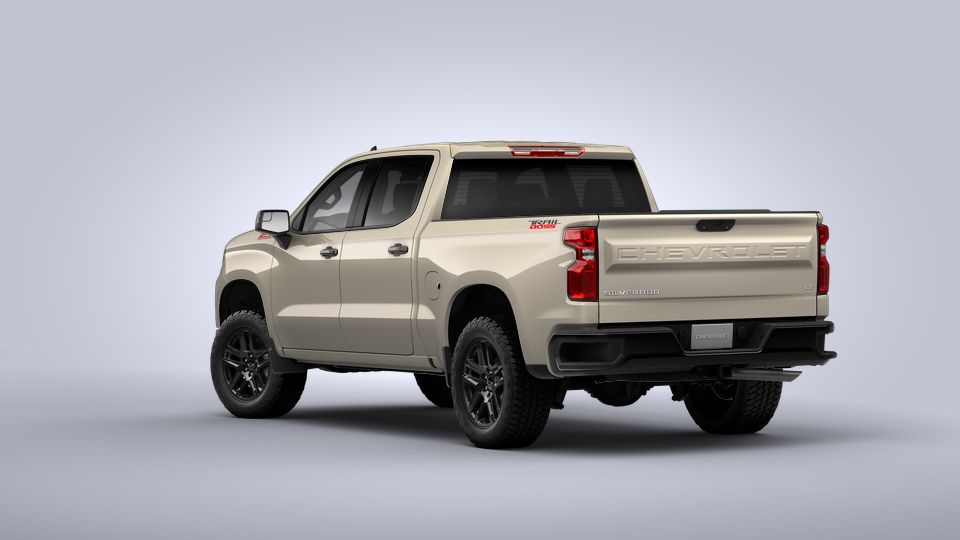 2022 Chevrolet Silverado 1500 Vehicle Photo in Rockville, MD 20852