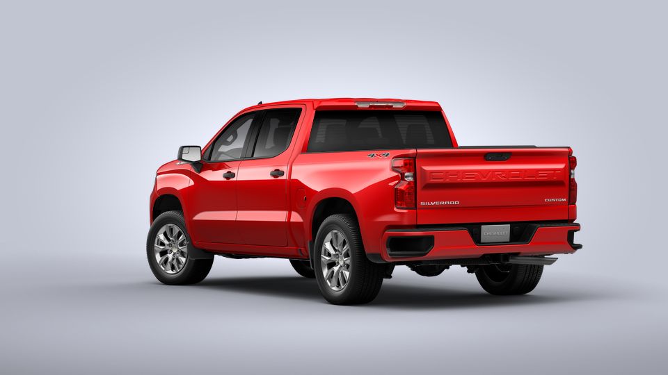 2022 Chevrolet Silverado 1500 Vehicle Photo in BEAUFORT, SC 29906-4218