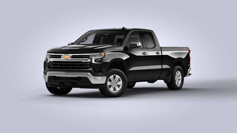 2022 Chevrolet Silverado 1500 Vehicle Photo in Roslyn, NY 11576