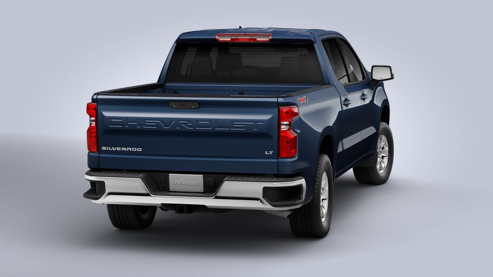 2022 Chevrolet Silverado 1500 Vehicle Photo in JASPER, GA 30143-8655