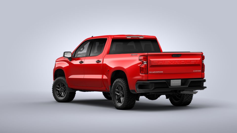 2022 Chevrolet Silverado 1500 Vehicle Photo in Fishers, IN 46038